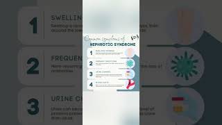 NEPHROTIC SYNDROME [upl. by Buxton259]