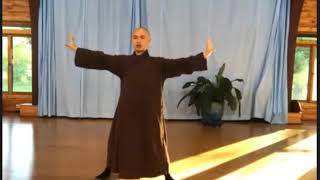 Mindful Exercise Practicing 8 Movement Shaolin Qigong Baduanjin Day  04 [upl. by Howenstein]