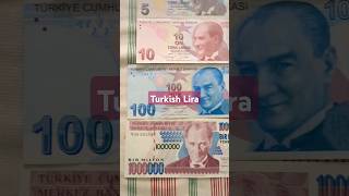 Turkish Lira [upl. by Ansel]