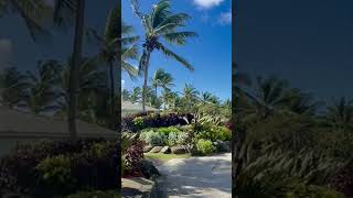 Coconut Bay Beach Resort amp Spa  St Lucia [upl. by Ferdy]