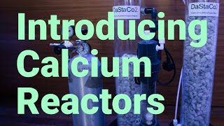 Introducing Calcium Reactors how they work amp why you should consider one [upl. by Dennet874]