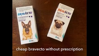 Buy Cheap Bravecto Without Prescription [upl. by Moorish]