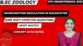 Transcription Regulation in Eukaryotes BSc Zoology 5th Semester molecularbiologycore11 [upl. by Monti544]