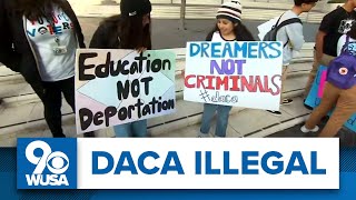 Court declares DACA program illegal protests planned in nations capital [upl. by Etteloc]