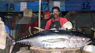 HIGH PROTEIN TUNA FISH 😋 AMAZING CUTTING BY KASIMEDU SPEED SELVAM ⚔️🔥 [upl. by Proulx]