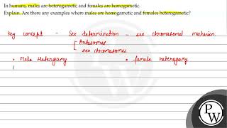 In humans males are heterogametic and females are homogametic Exp [upl. by Noivert]