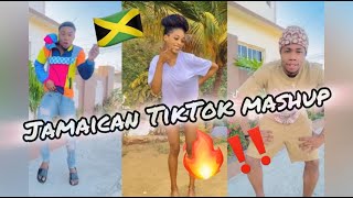 NEW JAMAICAN TIKTOK DANCE MASHUP 2024 [upl. by Merfe]