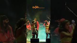 පද්මා කඩවත සකුරා ෆ්ලෑෂ් ♥️🔥 srilankanmusic live liveperformance music [upl. by Favian259]