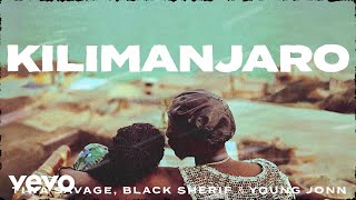 Tiwa Savage Black Sherif Young Jonn  Kilimanjaro Official Lyric Video [upl. by Monie]