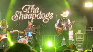 The Sheepdogs  I Dont Know [upl. by Mcgregor]