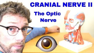 How To Perform Optic Nerve Examination  Cranial Nerve II Examination OSCE  Dr Gill [upl. by Anib]