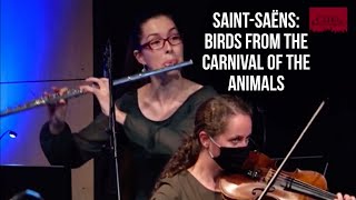 SaintSaëns Volière from the Carnival of the Animals  flute solo [upl. by Llewellyn]