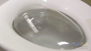 How Does a Bidet Work  bidetsPLUScom [upl. by Airrotal]