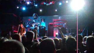 The Stranglers  Live in Dublin [upl. by Gussi]