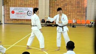 Shotokan Kata  Chinte teach by Naka Tatsuya sensei [upl. by Carlita]