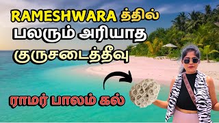 தமிழ் vlog டால்பின் இருக்கும் குருசடை தீவு  ராமேஷ்வரம் சுற்றுலா Rameshwaram tour  Krusadai Island [upl. by Mala857]