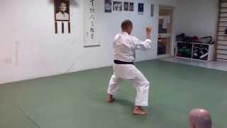 Niseishi con spiegazione tecnica by Takewaki Sensei  Kata Wado Ryu [upl. by Aihsem]