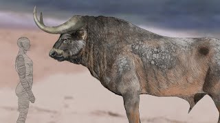 El Verdadero Toro Salvaje El Extinto URO [upl. by Leiram]