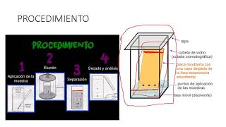 CROMATOGRAFIA EN CAPA FINA CCF [upl. by Maxi603]