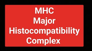 MHC complete notes [upl. by Giuliana975]