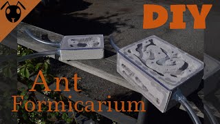 How to make a DIY Ytong formicarium Ant nest Tutorial [upl. by Gader]