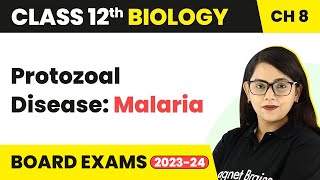 Protozoal Disease Malaria  Human Health amp Disease  Class 12 Biology Chapter 8 202223 [upl. by Javed]