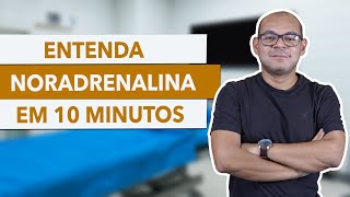 TUDO sobre NORADRENALINA em MENOS de 10 MINUTOS [upl. by Lyontine]