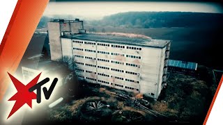 Das Schweinehochhaus in SachsenAnhalt  stern TV [upl. by Maer745]