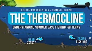 Understanding the THERMOCLINE – Are you fishing the DEAD ZONE ☠️ [upl. by Llednohs592]