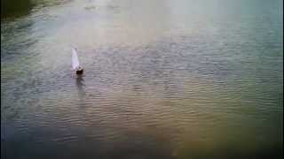 Rc Catboat at Telaga Cibubur30Juni2012 [upl. by Ecinom761]