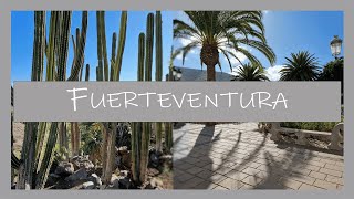 Fuerteventura 4K  Télen a nyárba [upl. by Addis871]