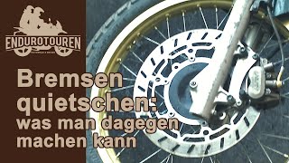 Bremsen quietschen laut an der Honda Transalp 600 PD06 – was man dagegen tun kann [upl. by Clifford]