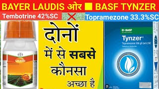 bayer laudis ओर basf tynzer m sabse best kon hsabse best herbicide in maizebasf laudisBASF Tynzer [upl. by Ahtnamys]