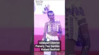 Paneri Tea Estate Karam Festival shorts fashion fashionshow shortfeed trending [upl. by Hines732]