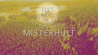 Drevjakt Misterhult Jaktprov och älg till slaktboden [upl. by Carolina]