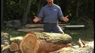 Woodworking DIY Tips Cutting Lumber from Logs [upl. by Ilat297]