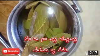 Nilagang Dahon Ng Atis [upl. by Ahsikyt]