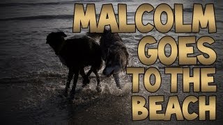 Malcolm Goes To The Beach [upl. by Anonyw]