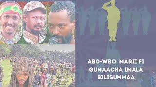 Waamicha Marii fi Gumaacha Imala Bilsisummaa ABOWBO [upl. by Hsotnas]