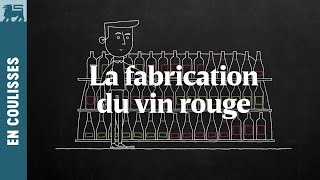 La fabrication du vin rouge [upl. by Ayn]