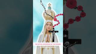 Todays Daily Rosary JOYFUL MYSTERIES Monday Rosary 🌹 FEBRUARY 12 2024 🌹 rosarytoday [upl. by Mahmoud]