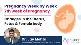 Pregnancy Week by Week 7th week  Changes in the Uterus Fetus amp Female body  Dr Jay Mehta [upl. by Irmo]