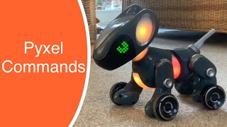 Pyxel a Coders Best Friend Robotic Dog How to Use Commands Part 1 Backward Chase Tail Dance etc [upl. by Neicul]