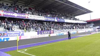 Austria Wien  Hartberg 42  030319  Support amp Torjubel [upl. by Maziar86]