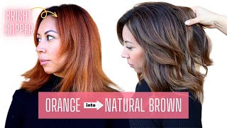 THIS is how I fix orange on brown hair😱 haircolorcorrection orangetobrownhair [upl. by Carper]