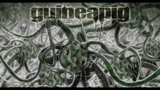 Guineapig  Bacteria 2014 Full Album [upl. by Rebbecca519]