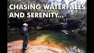 Solo Hike Magnificent Turtle Falls Loop Trail  Faulconbridge [upl. by Ladnik]