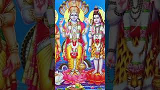 Is Hinduism a polytheistic Relegion hinduism sanatan ytshort youtubeshorts shorts facts [upl. by Kehr]