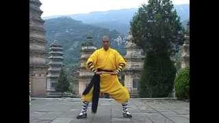 少林立勢八段錦 Shaolin Standing Eight Section Silk Brocade [upl. by Bathesda]