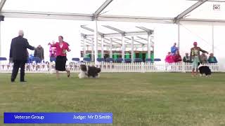 Windsor Championship Dog Show 2023 Day 2 Working amp Pastoral Groups [upl. by Amerd]